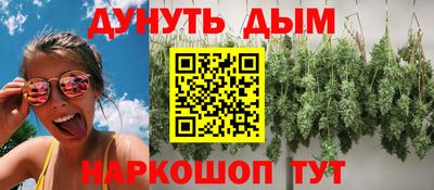мдпв Гай