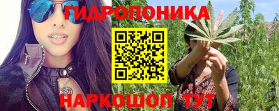 PSILOCYBIN Кохма