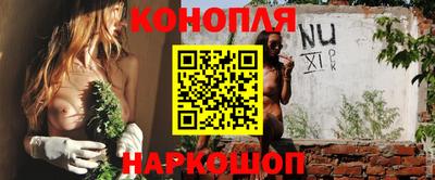 мдпв Гай