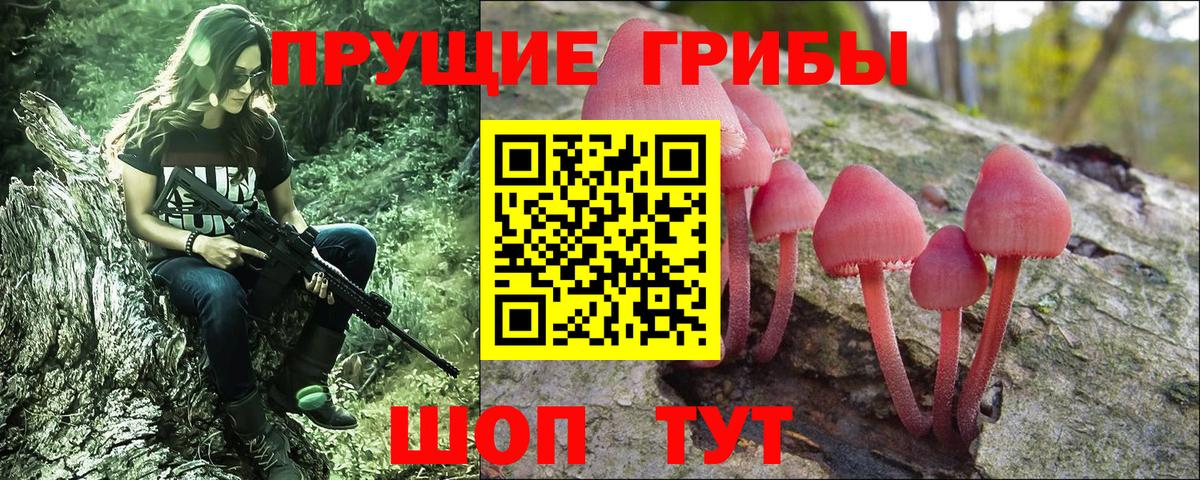 Галлюциногенные грибы Cubensis Ишим