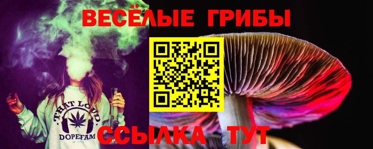 Ишим  Галлюциногенные грибы ЛСД  что такое наркотик  Вход с VPN 